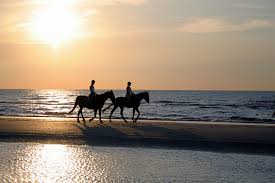 florida horseback beach riding